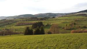 Sommerbild