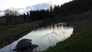 Sommerbild