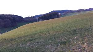 Sommerbild